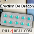 Érection De Dragon 28